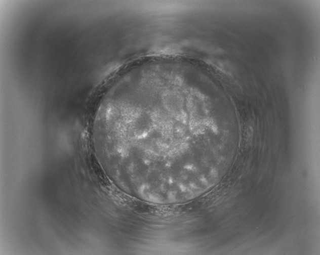 X0000063521254200601231506