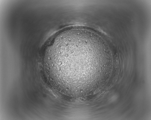 X0000063521255200601231506