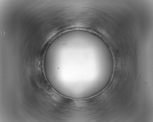 X0000063521258200601231506