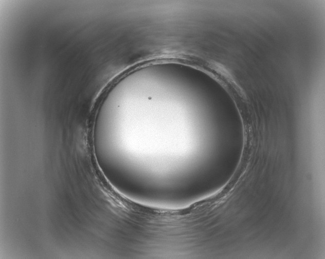 X0000063521260200601231506