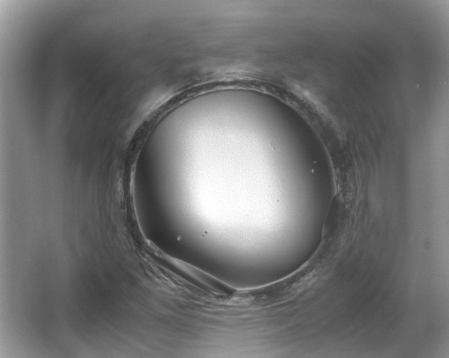 X0000063521261200601231506