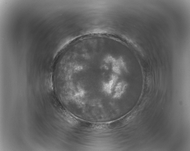 X0000063521262200601231506