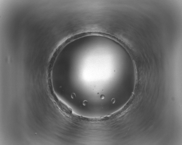 X0000063521264200601231506