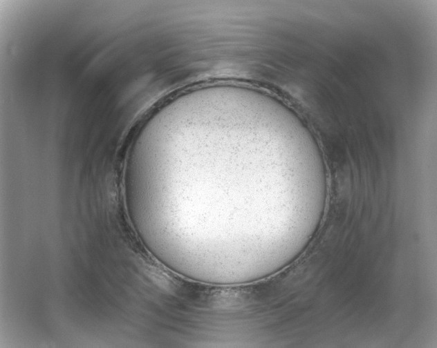 X0000063521266200601231506