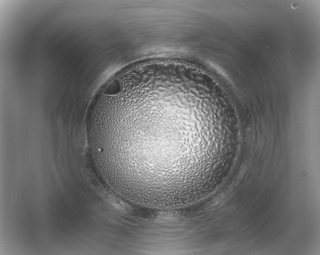 X0000063521267200601231506