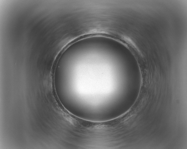 X0000063521268200601231506