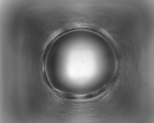 X0000063521269200601231506