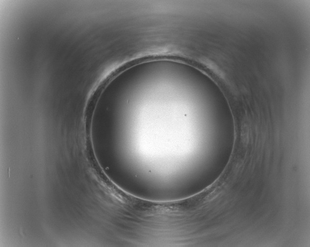 X0000063521270200601231506