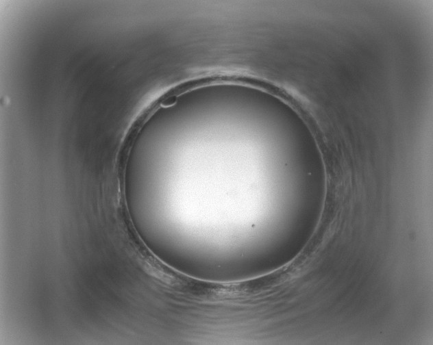 X0000063521271200601231506