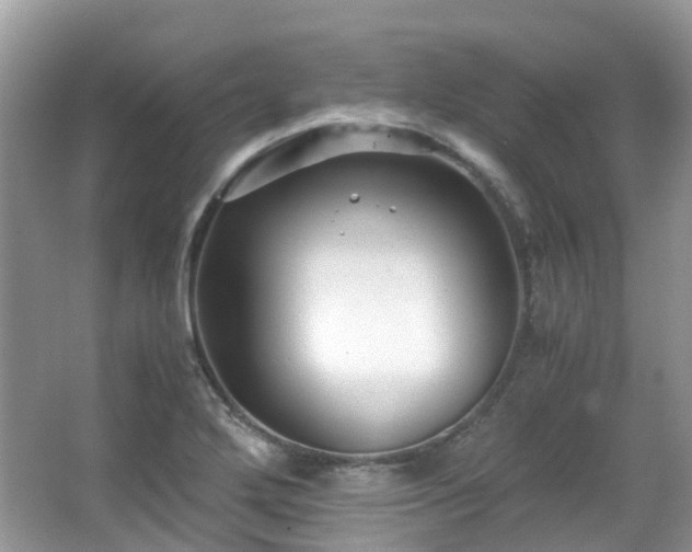 X0000063521272200601231506