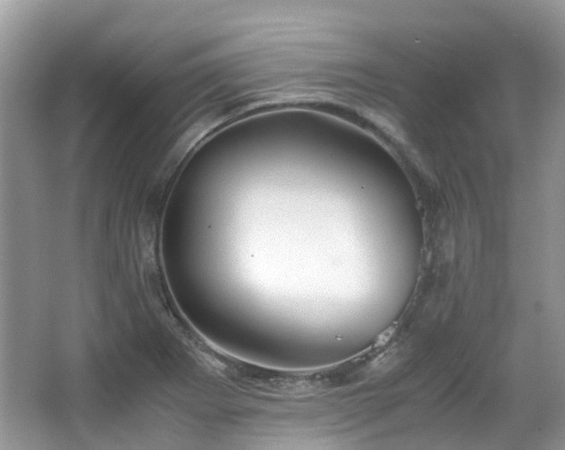 X0000063521273200601231506