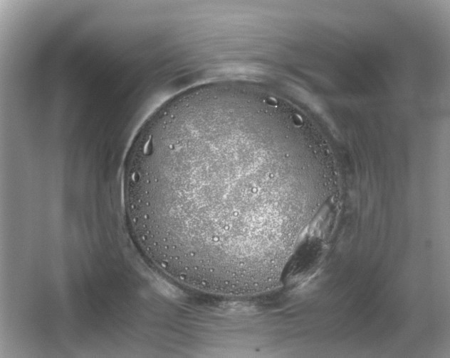 X0000063521275200601231506