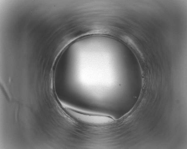 X0000063521276200601231506