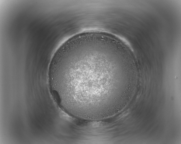 X0000063521279200601231506