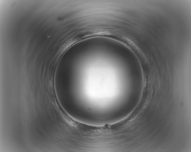 X0000063521281200601231506