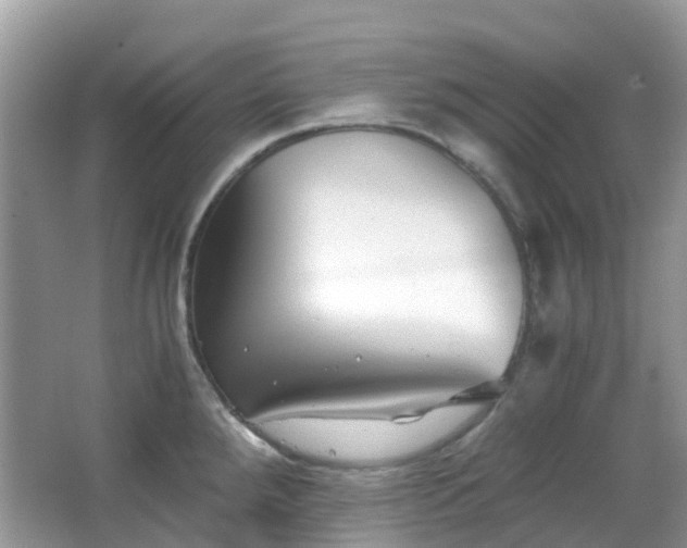 X0000063521288200601231506