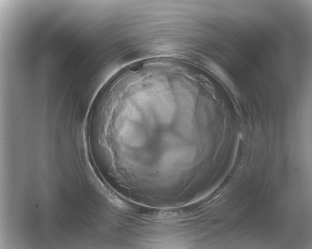 X0000063521291200601231506