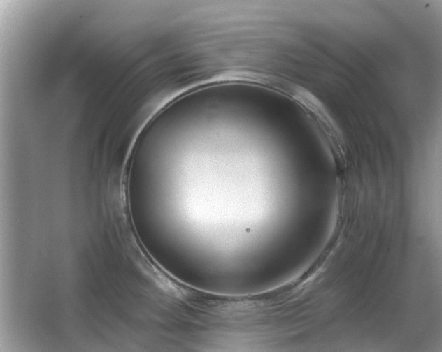 X0000063521292200601231506