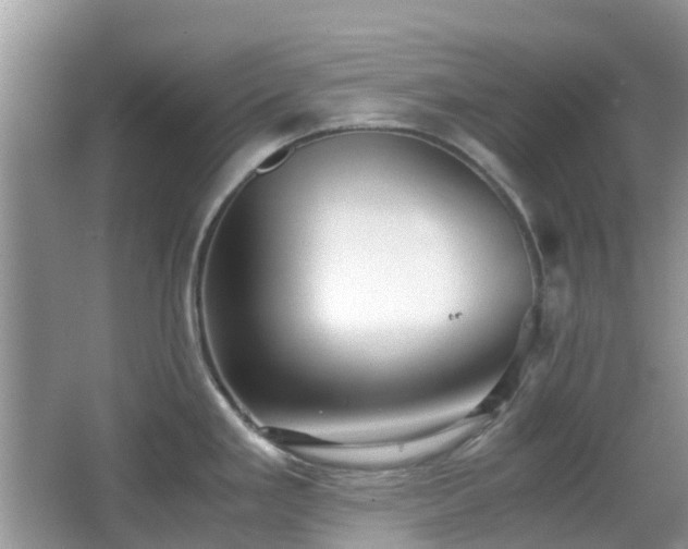 X0000063521293200601231506