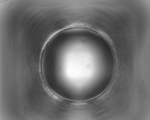 X0000063521296200601231506