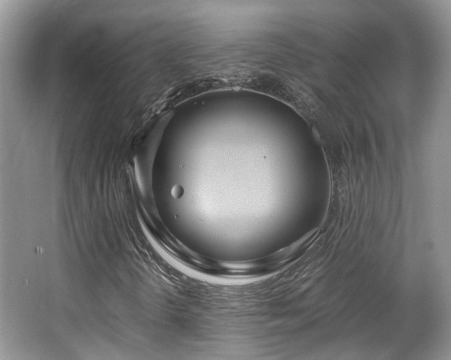 X0000063521298200601231505