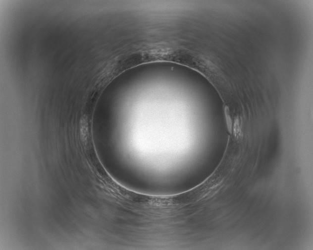 X0000063521299200601231505