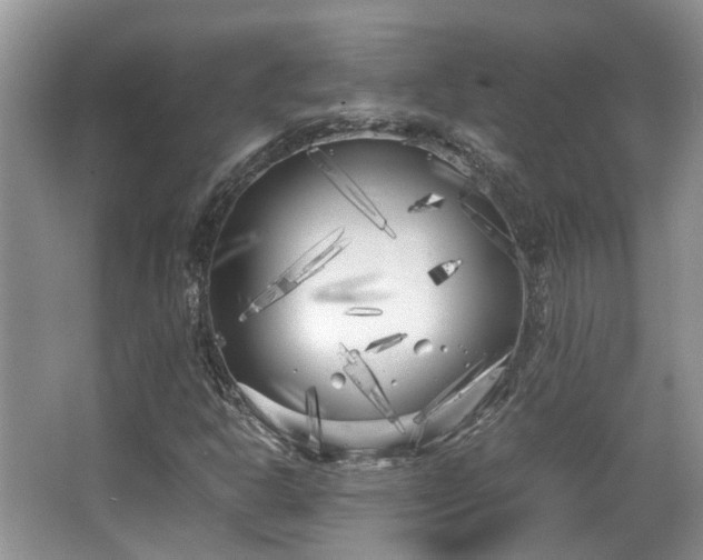 X0000063521302200601231505