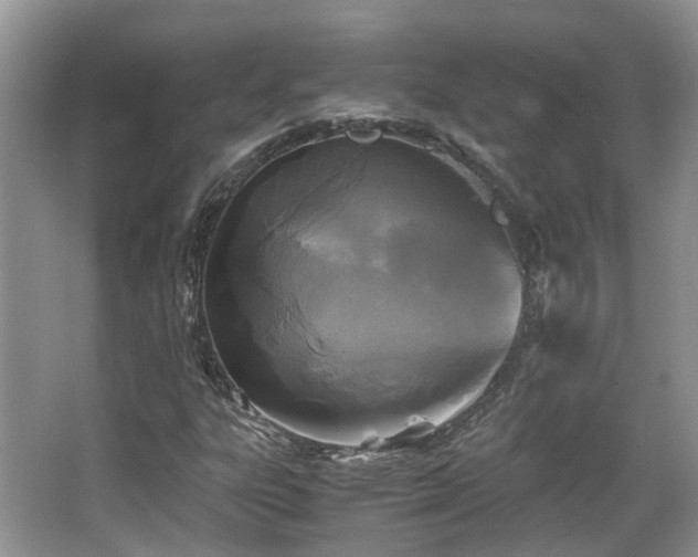 X0000063521303200601231505