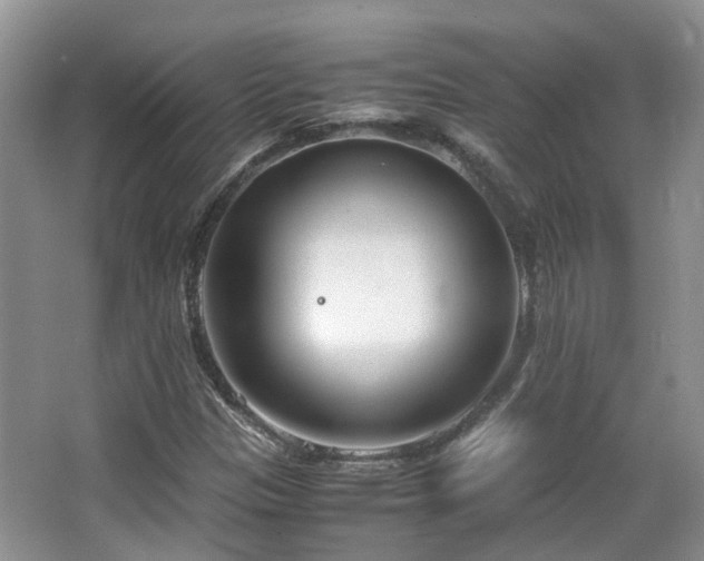 X0000063521305200601231505