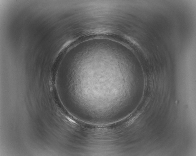 X0000063521306200601231505