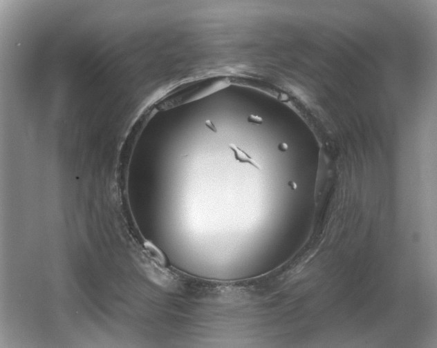 X0000063521308200601231505