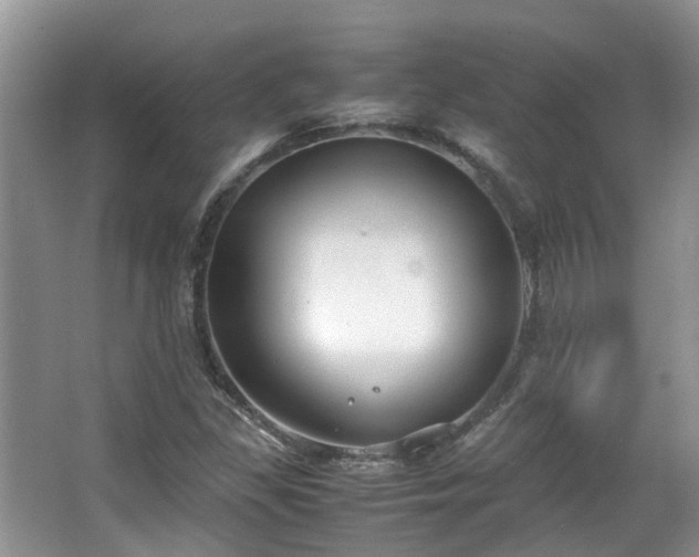 X0000063521309200601231505