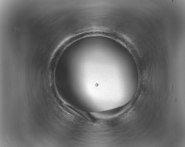 X0000063521310200601231505