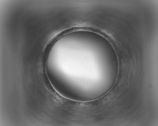 X0000063521311200601231505