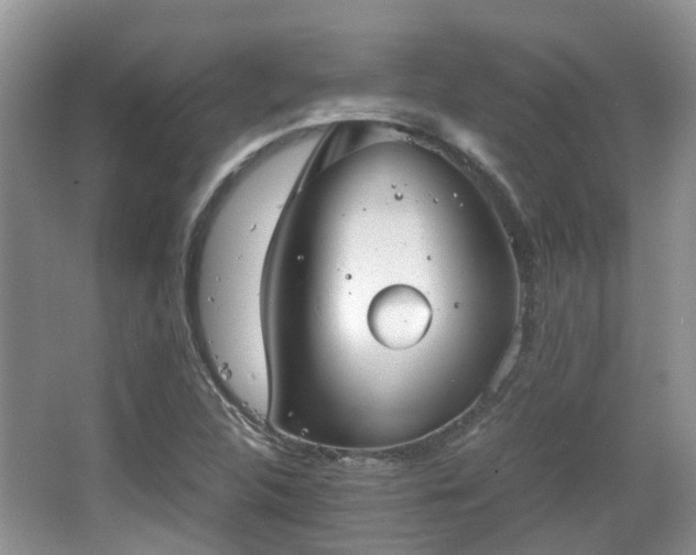 X0000063521312200601231505