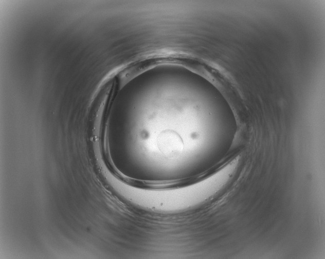 X0000063521314200601231505