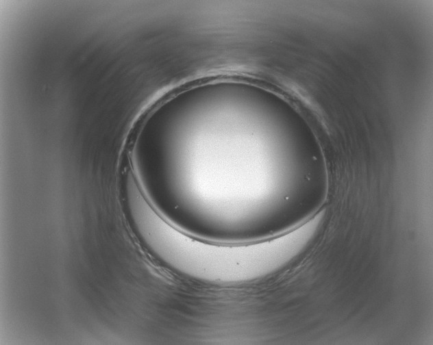 X0000063521316200601231505