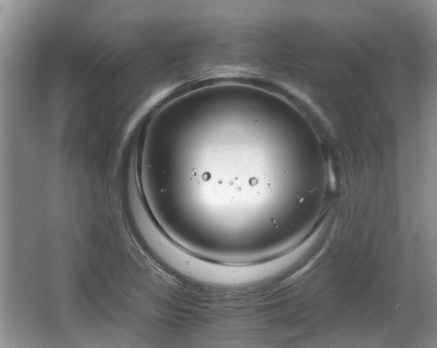 X0000063521317200601231505