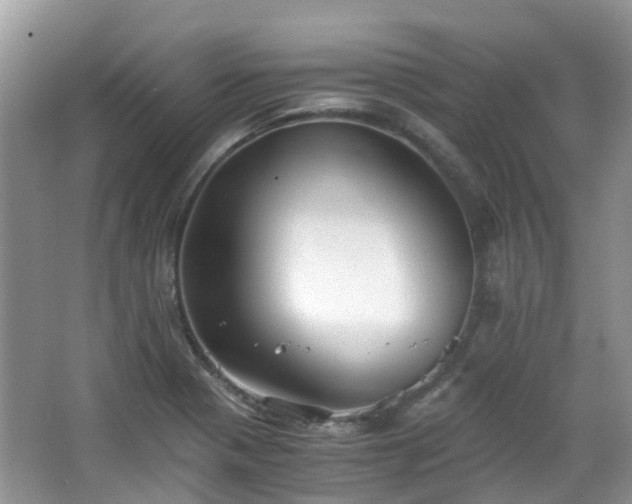 X0000063521321200601231505