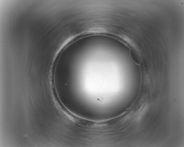 X0000063521325200601231505