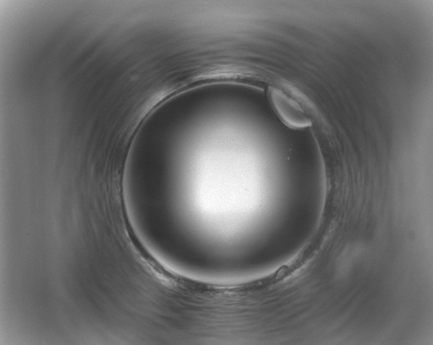 X0000063521329200601231505