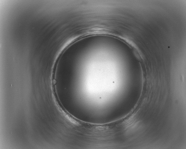 X0000063521333200601231505