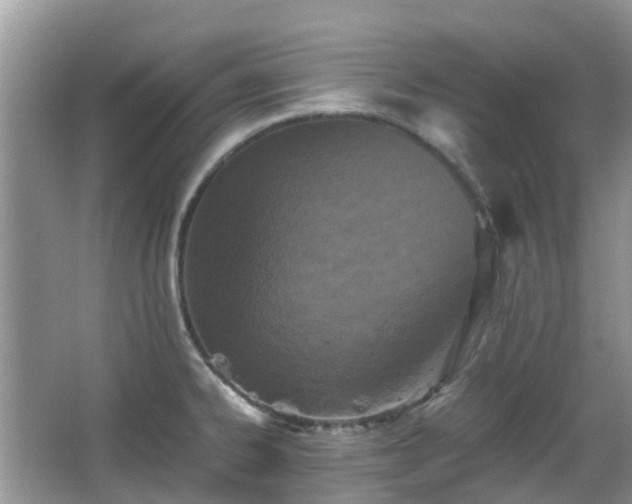 X0000063521334200601231505