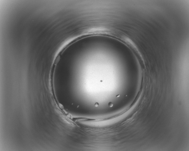 X0000063521336200601231506