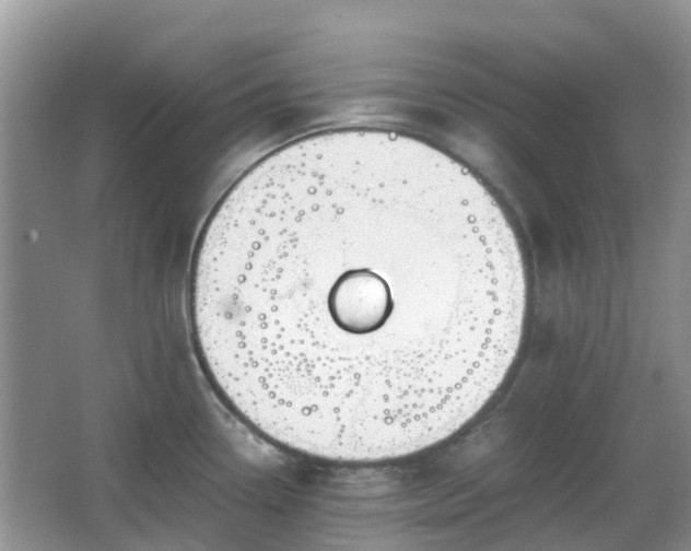 X0000063521338200601231506