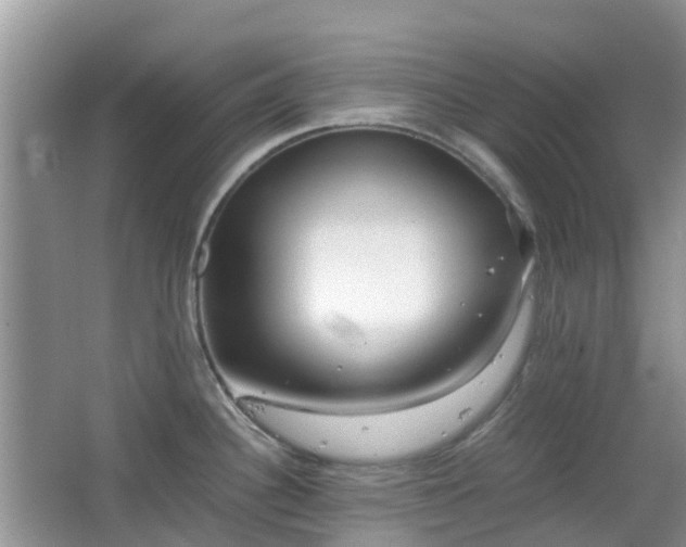 X0000063521340200601231506