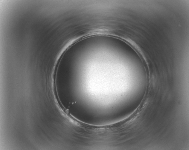 X0000063521341200601231506