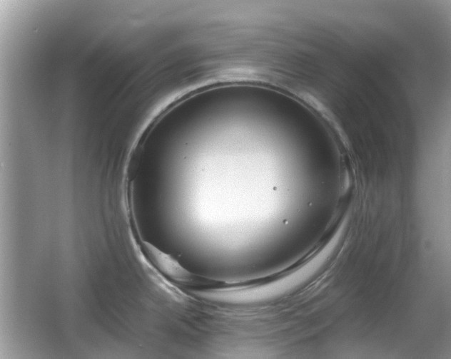 X0000063521342200601231506