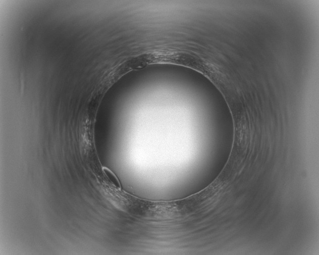 X0000063521346200601231505