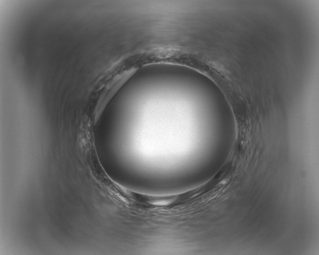 X0000063521349200601231505